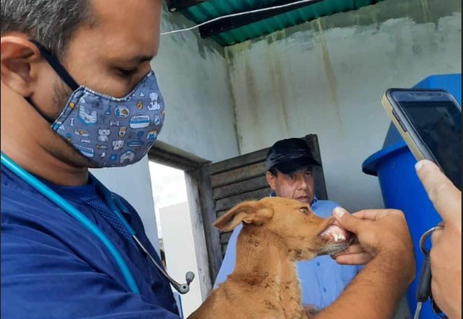 Detienen al actor Roberto Hernández por maltrato animal (Fotos)