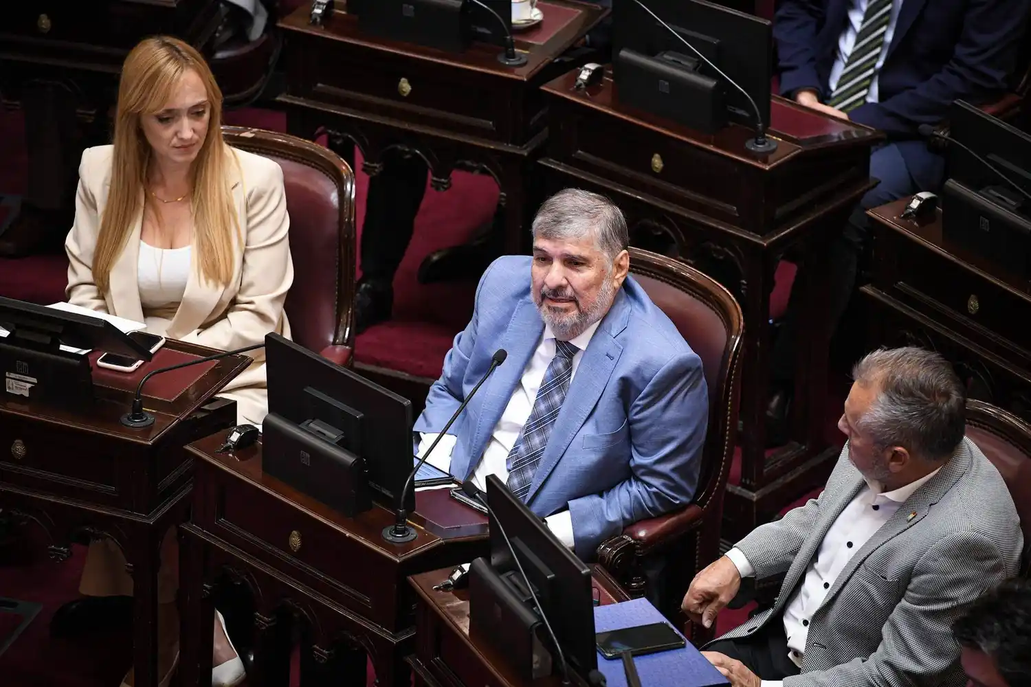 El bloque kirchnerista en el Senado intensifica 
su estrategia para recuperar bancas clave