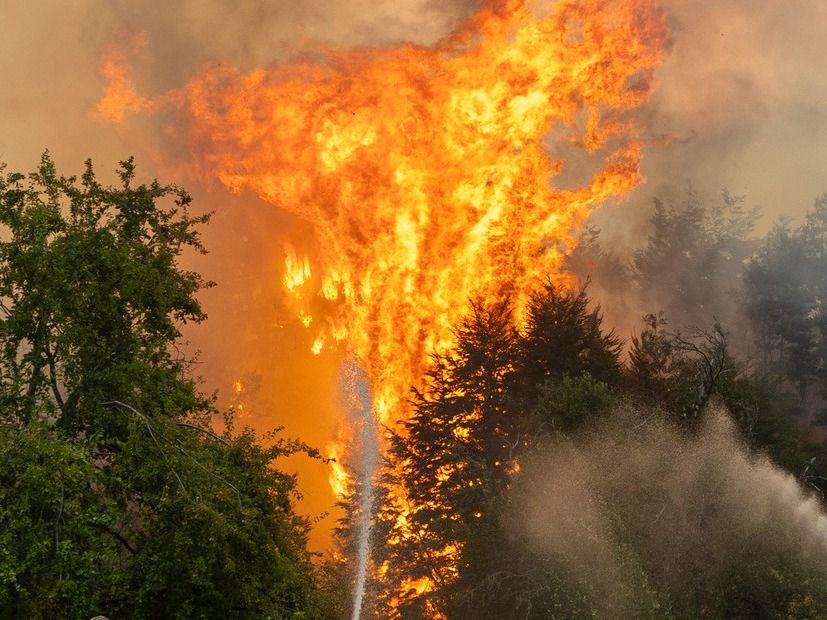 "Este fue un incendio intencional, no hay ninguna duda", expresó.