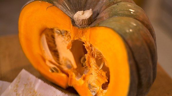 La siembra directa duplicó la producción de zapallo: 50 mil kilos por hectárea