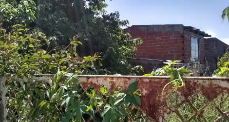 Cansada del basural del vecino