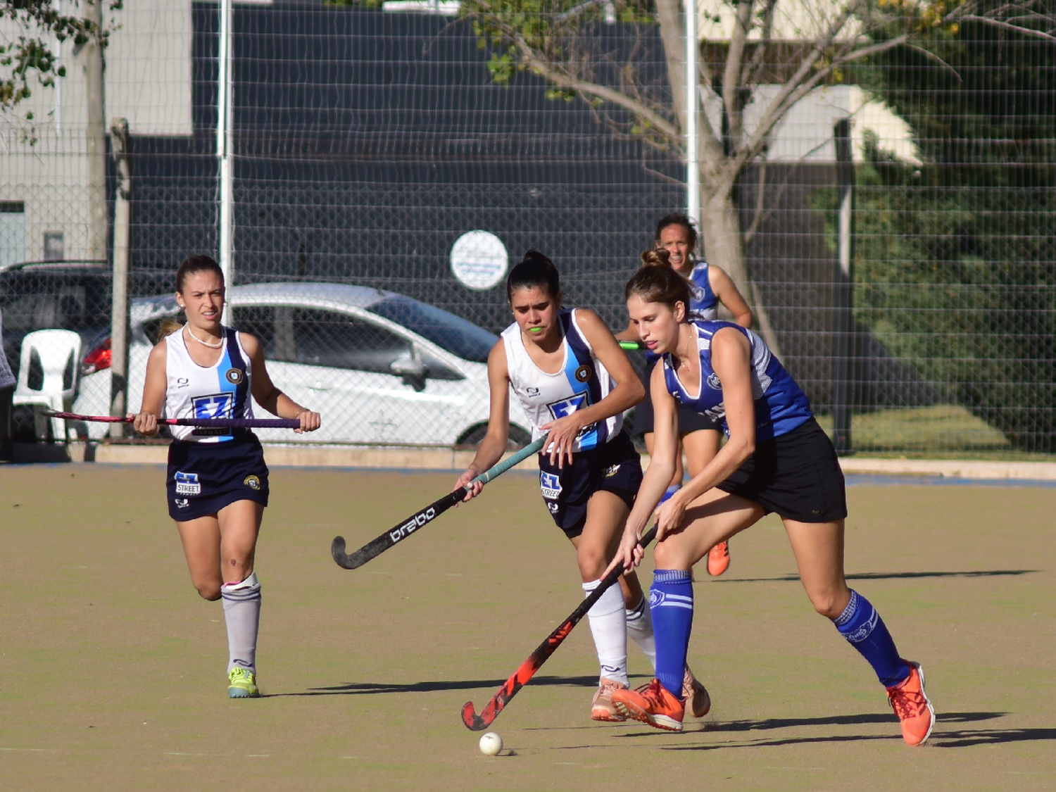 Antártida Argentina se presenta en Córdoba
