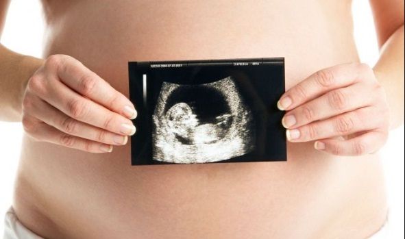 Con la fuerza y la esperanza de una pequeña semilla