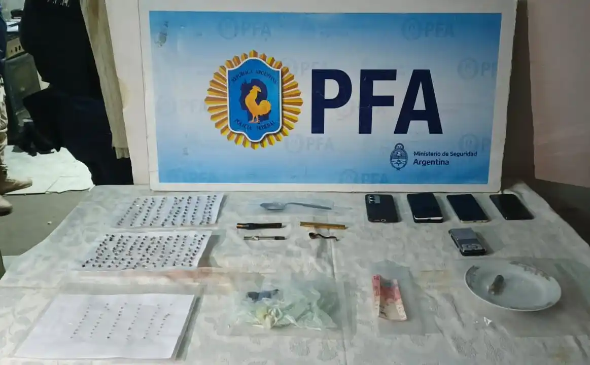 En los procedimientos se secuestraron más de una docena de teléfonos celulares y  291 semillas de cannabis (tanto genéticas importadas como comunes). Foto: Gentileza.