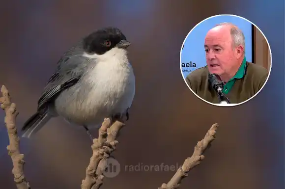 Darán una charla gratuita de fotografía de naturaleza: "A 2km del centro hay una belleza natural que muchos no ven"