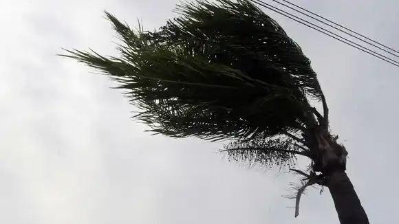 Alerta amarillo por vientos fuertes en cinco provincias de Argentina
