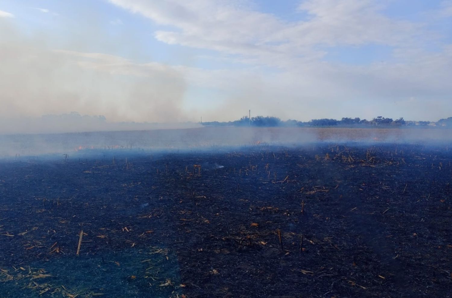 Importante incendio en un campo de Mar del Plata