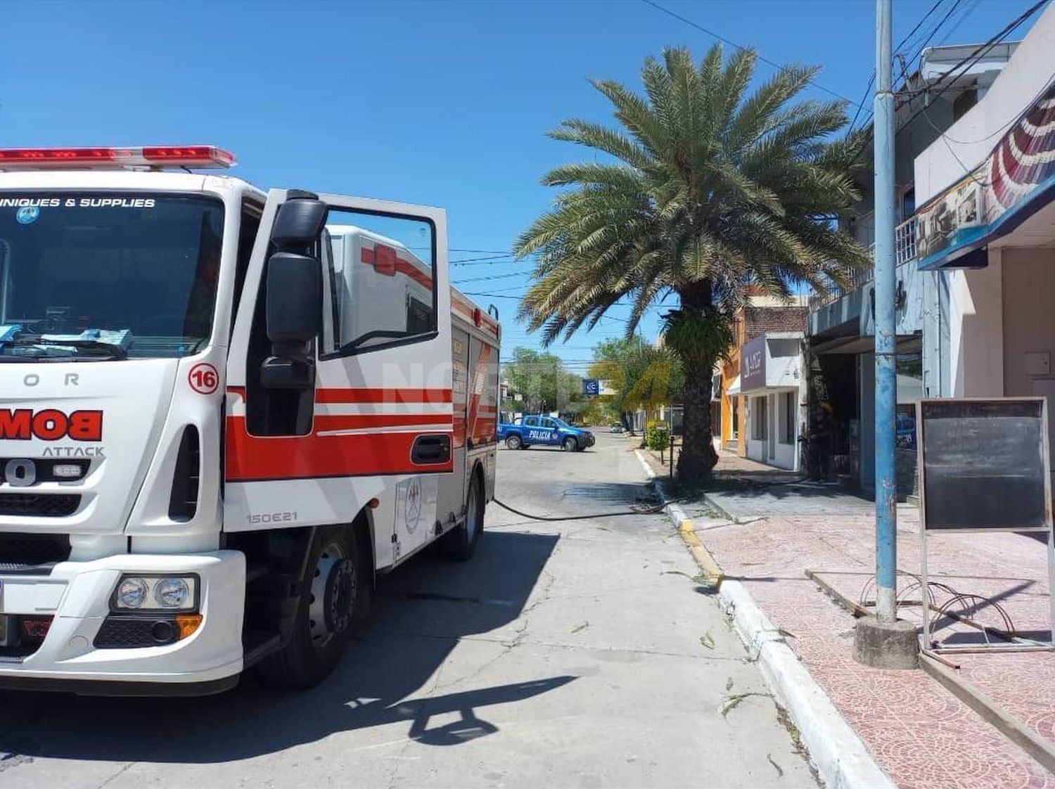 Se incendió una palmera en Reconquista