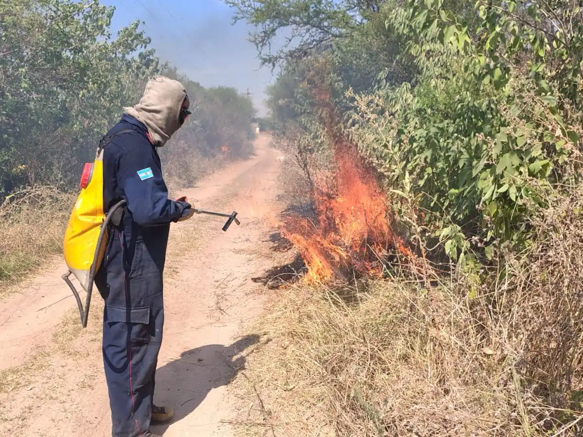 Gualeguaychú en alerta máxima: cuatro nuevos focos de incendio movilizaron a los Bomberos en lo que va de la tarde