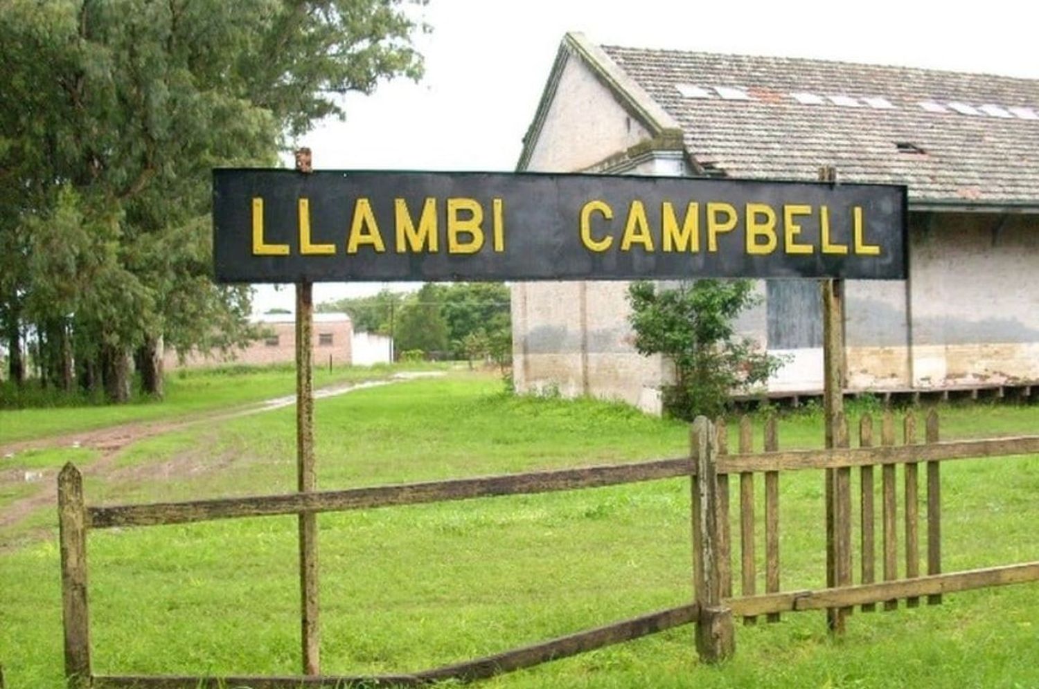 Llambi Campbell