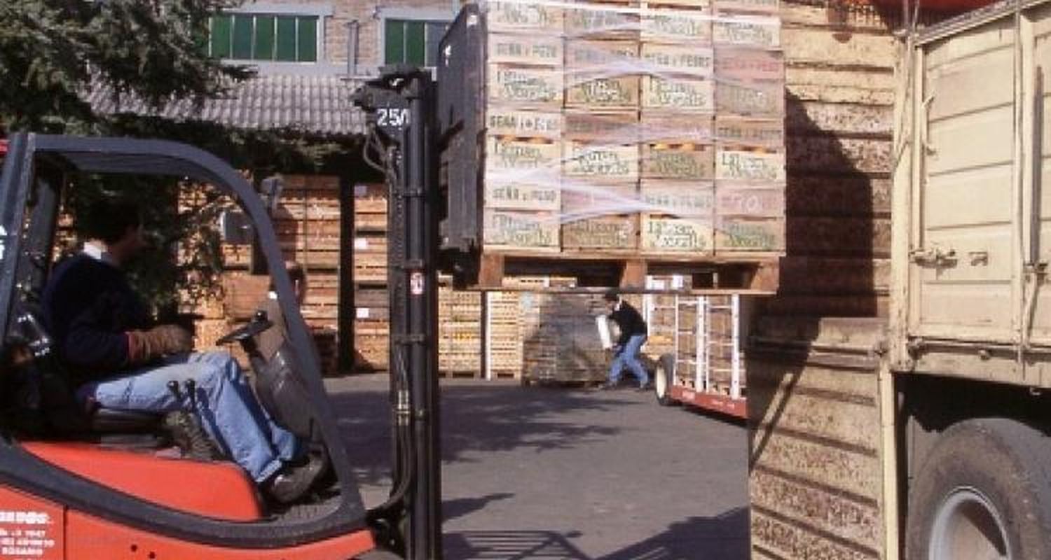Ingresa fruta fresca de Entre Ríos tras acuerdo con Senasa