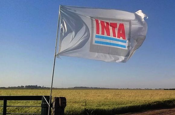 Cuál será el futuro del INTA, el organismo que se dedica a la extensión e investigación del agro