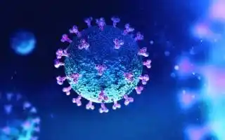 #Coronavirus 18 de abril: 16.267 nuevos casos y 65 muertes reportadas en las últimas 24 horas