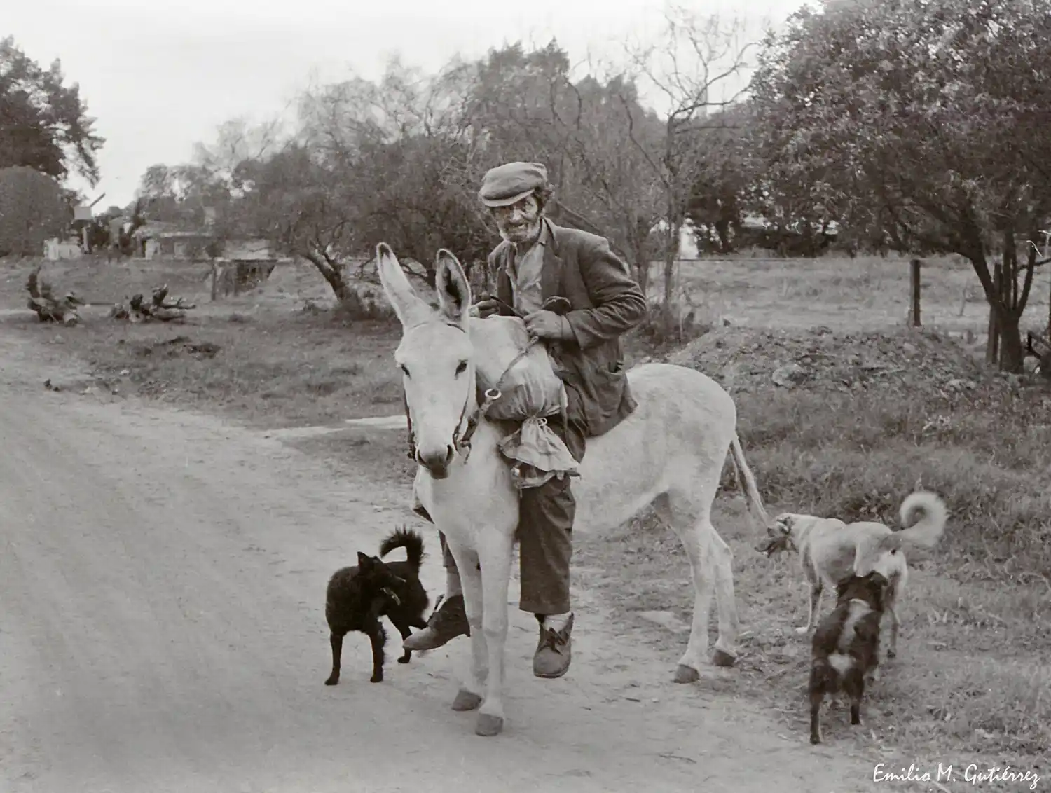 En este domingo de clásicos, un recuerdo que nos abraza el alma: “Manya”, Golondrina y la memoria viva de Chascomús