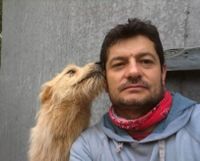 Se solicita al municipio una mayor participación ante las problemáticas generadas por los animales