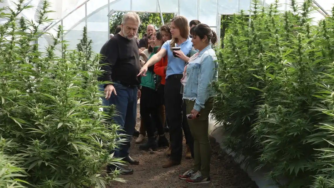 Santa Fe avanza en políticas públicas integrales en materia de Cannabis Medicinal