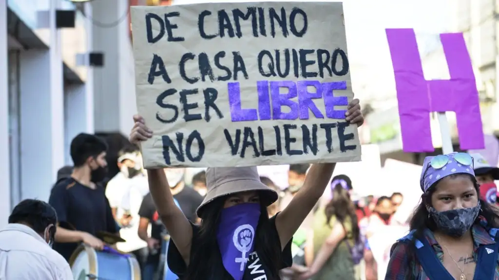 Se presentó un proyecto de ley para que se declare la emergencia nacional por violencia de género.