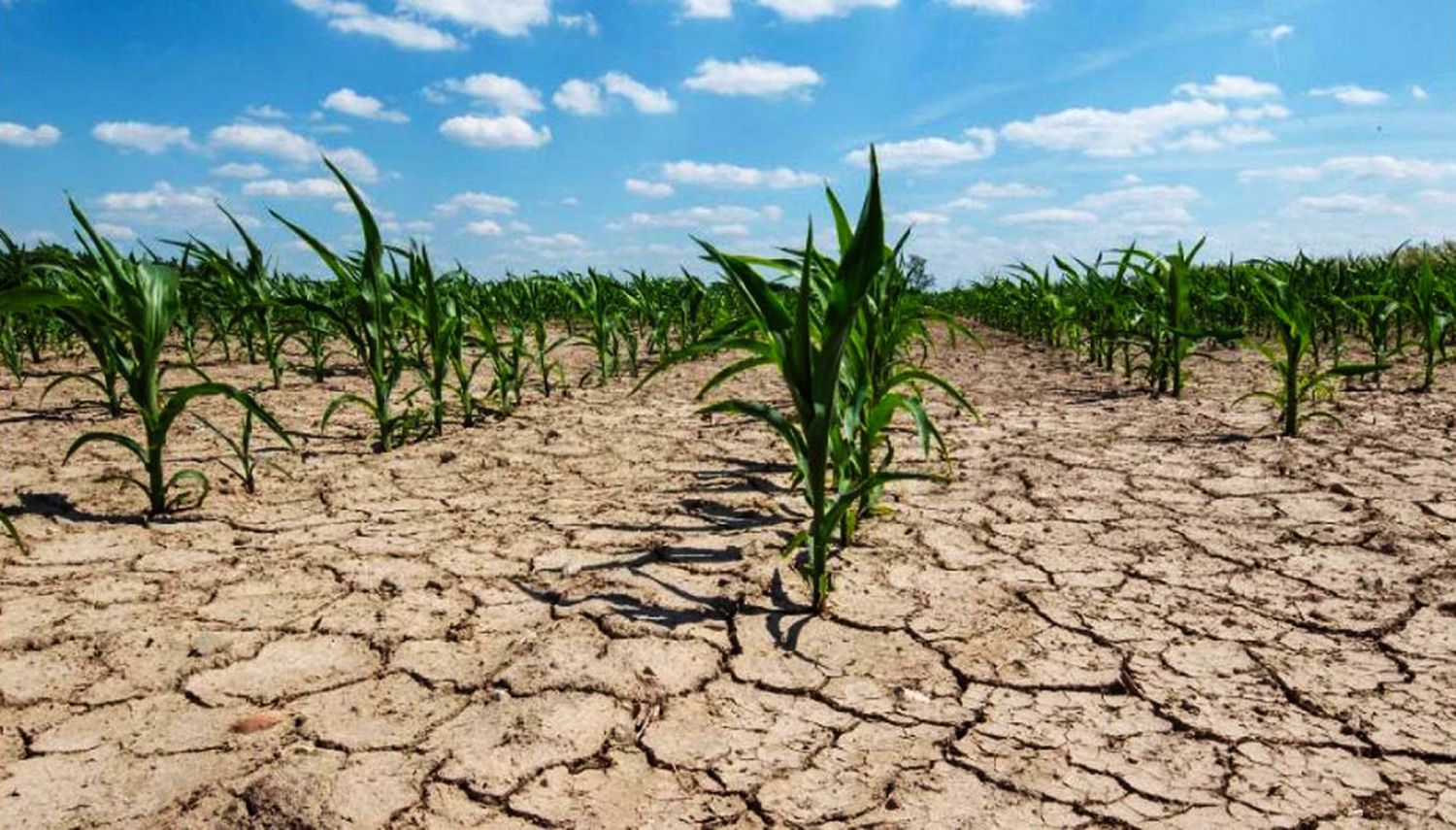 "Encaramos una emergencia climática"