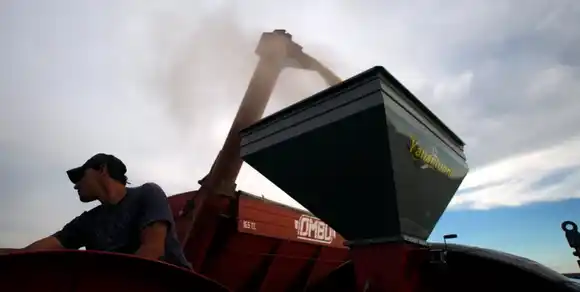 El campo reclama “eliminación permanente”: Una parte de las “retenciones cero” mejoró el precio a los productores