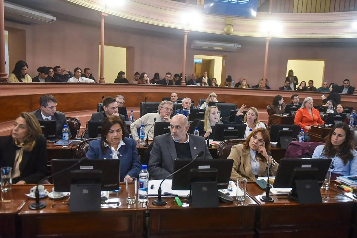 El bloque peronista votó en contra de la ley de ajuste previsional en Diputados