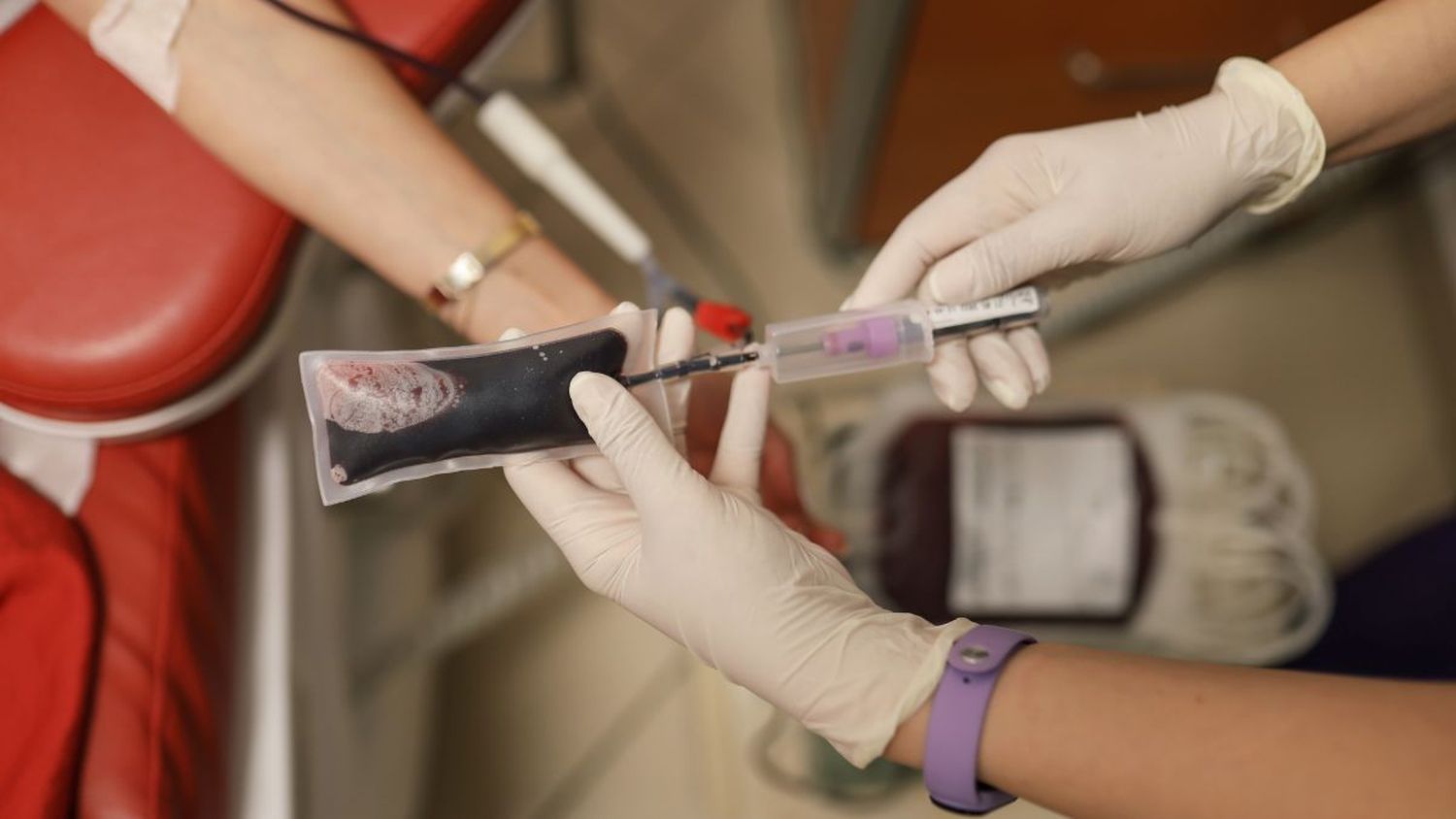 CRUZ ROJA levanta restricciones: gais y bisexuales podrán donar sangre en EE.UU.