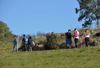 Pocos tandilenses se congregaron en espacios públicos para celebrar la primavera