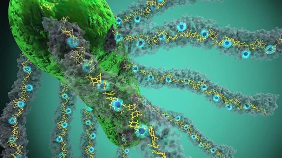 ¡ASOMBROSO! Estas bacterias pueden usar la luz para “respirar” electricidad