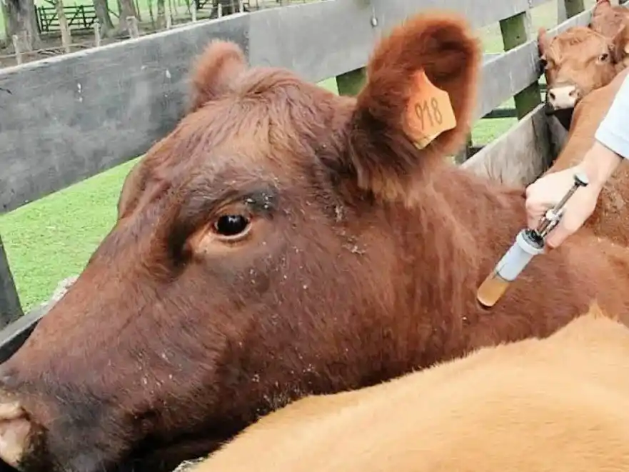 Federación Agraria cuestionó que se debilite un sistema sanitario que "funciona muy bien"