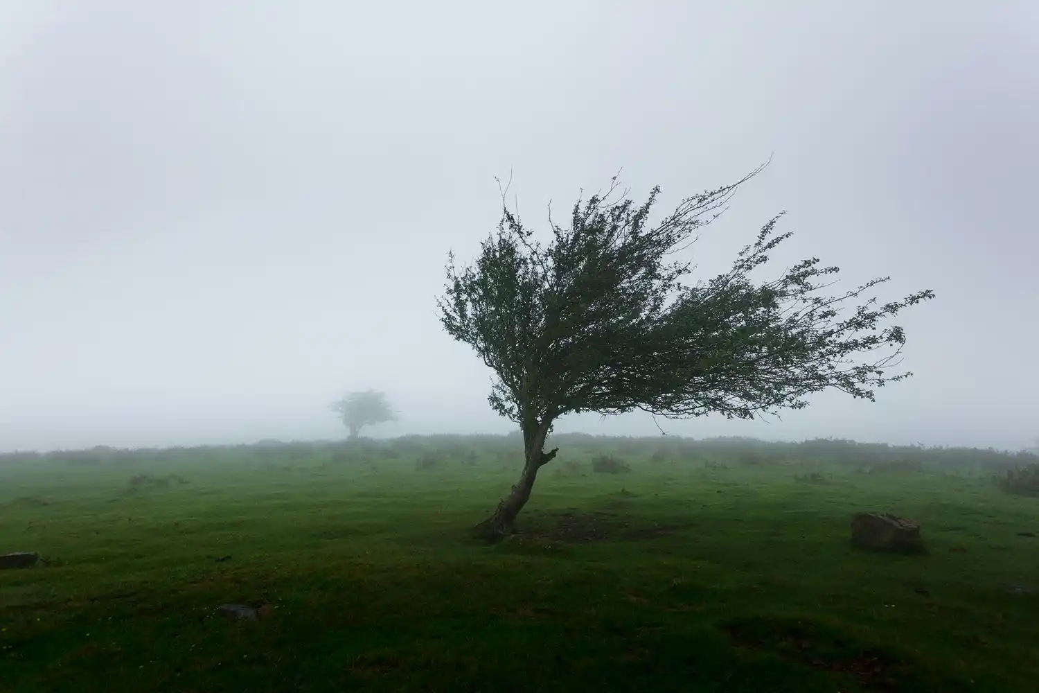 Sigue el viento en la zona