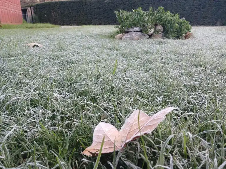 Coronel Rosales es Zona Fría