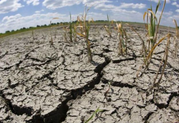 Sequía: Balcarce pedirá a Provincia que declare la emergencia agropecuaria