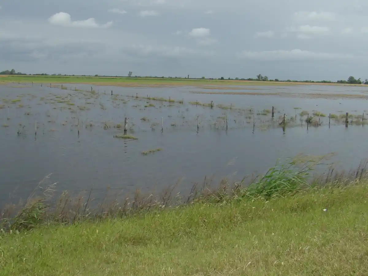 Prorrogan la emergencia agropecuaria para varias zonas de Córdoba 