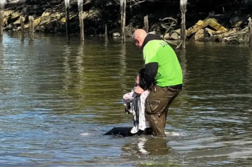 ex policía salva a mami e hijo del rio 2