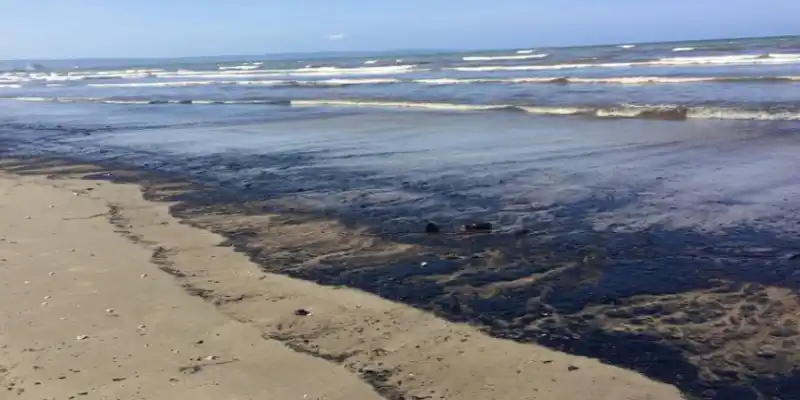 Por derrame de petróleo en Morrocoy, AN de Parra citará a PDVSA