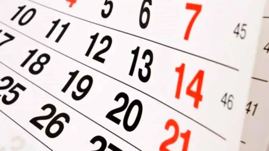 Cuándo es feriado, ¿el lunes 18 de noviembre o el miércoles 20?