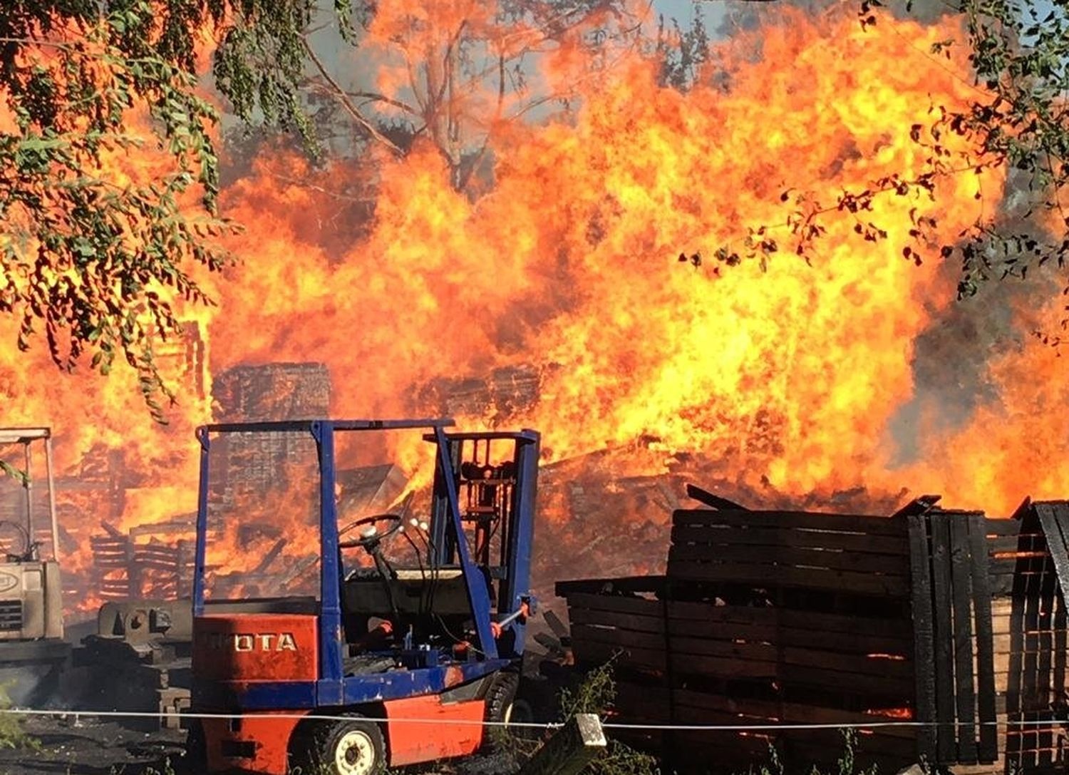 Intensa labor de Bomberos para combatir el incendio en el predio de la ex-Scaduto