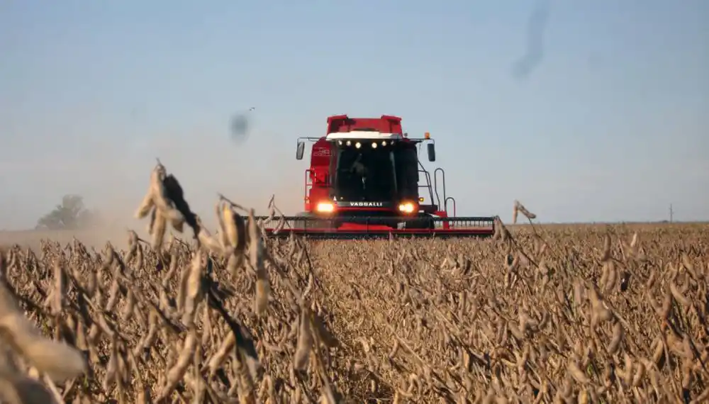 El campo en tiempos de coronavirus: las prevenciones que se toman durante la cuarentena