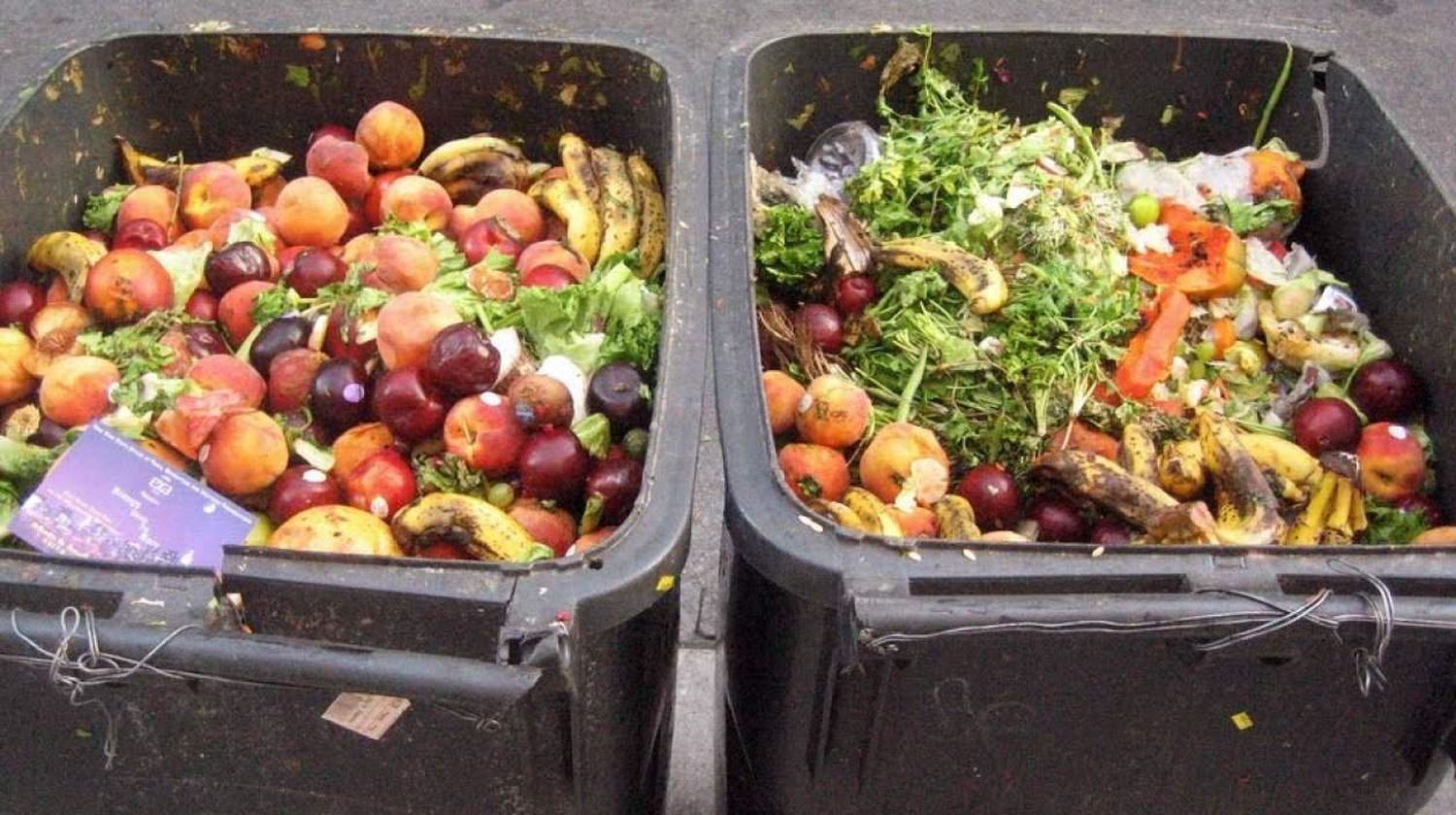 Detectan que se perdería hasta un tercio de la producción en distintas cadenas agroalimentarias