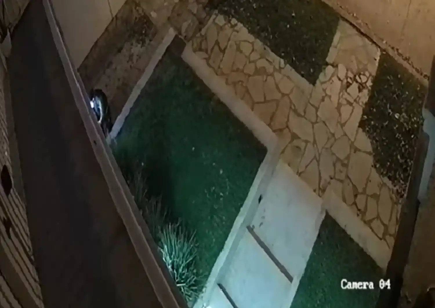 Robo de spots de luz en vivienda de calle Perón al 300 - 2