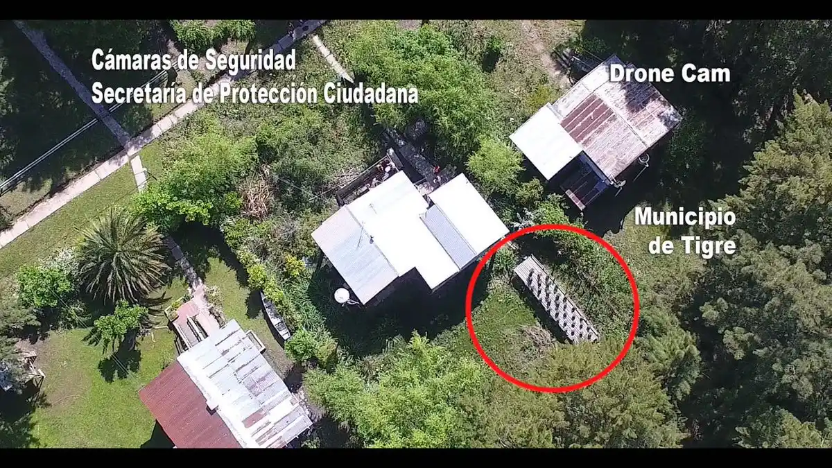 Tigre: Una mujer detenida por plantar marihuana en el Delta