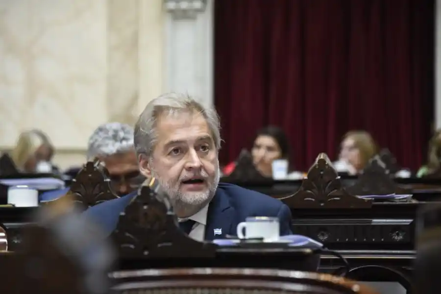 Mirabella presentó dos proyectos para endurecer penas a robos y hurtos