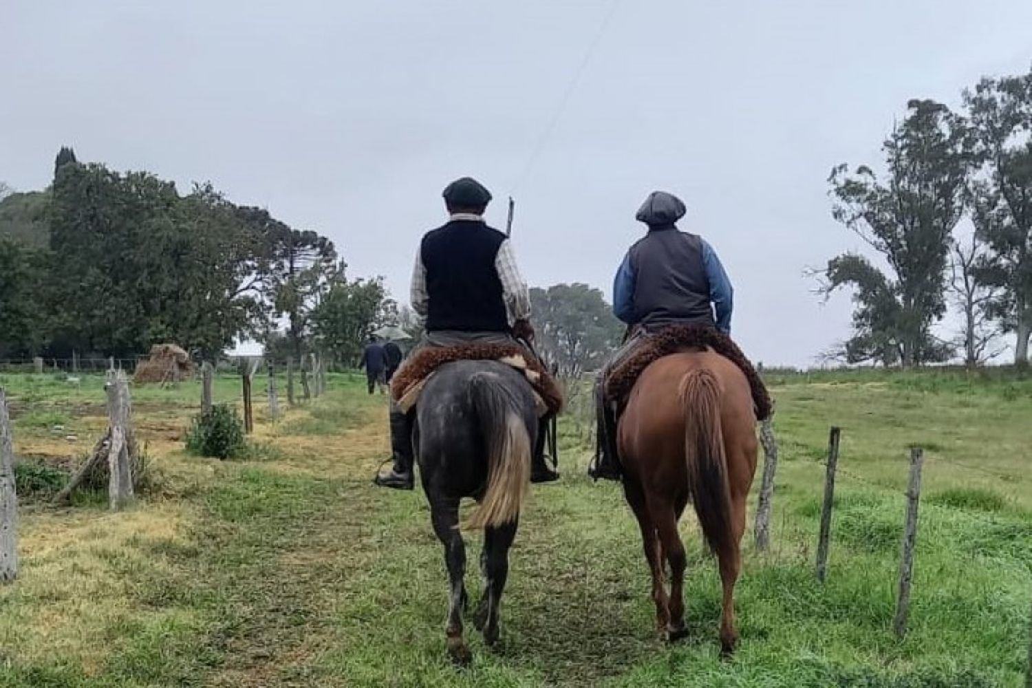 Nueva escala salarial para trabajadores rurales