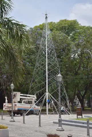 Foto del Día