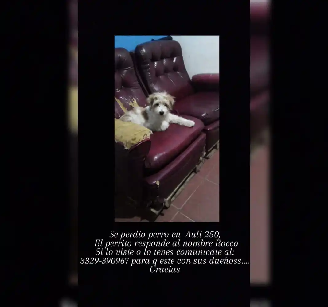 Buscan a Rocco