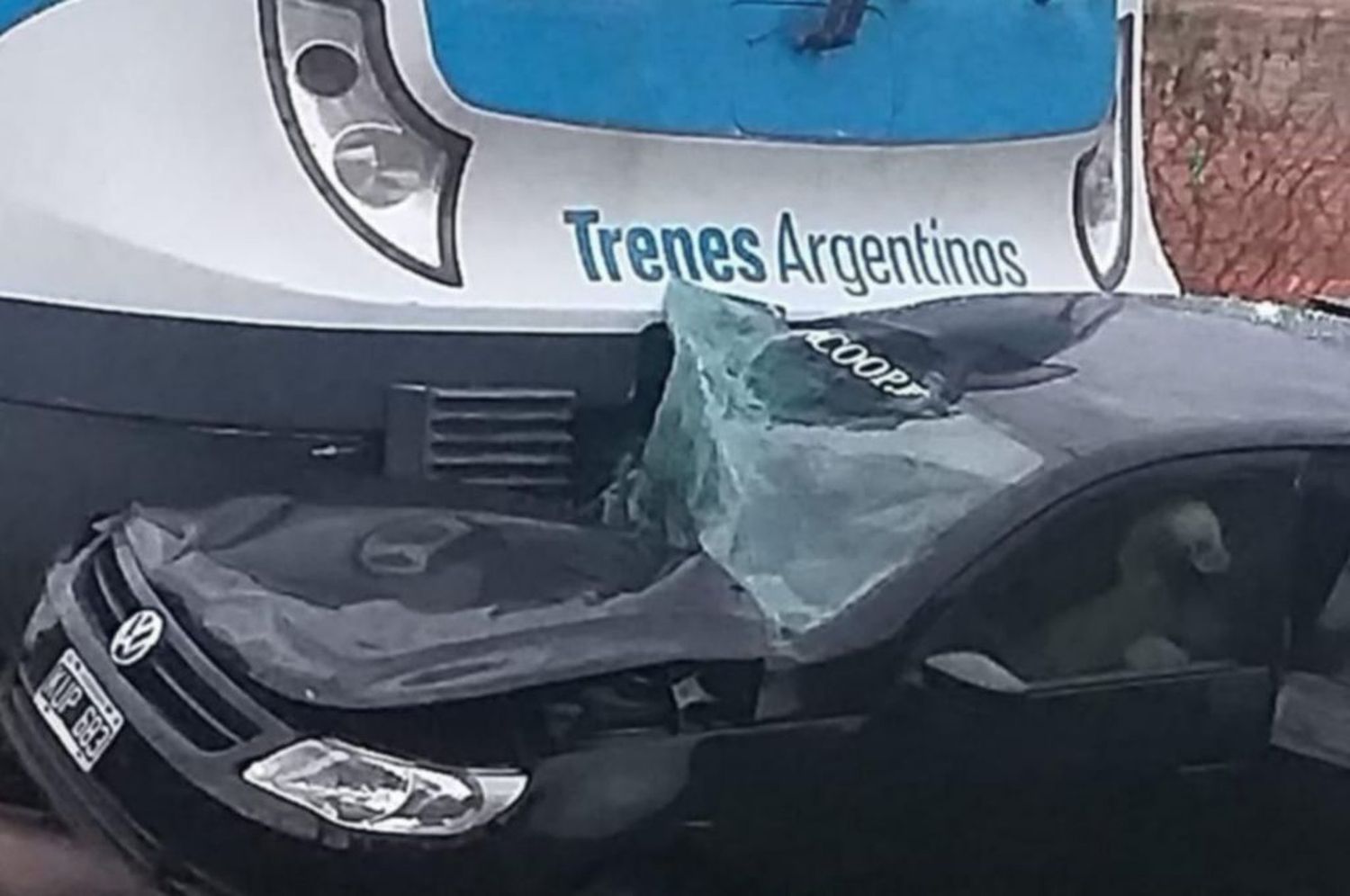 Una formación del tren Roca chocó a un auto y una persona murió