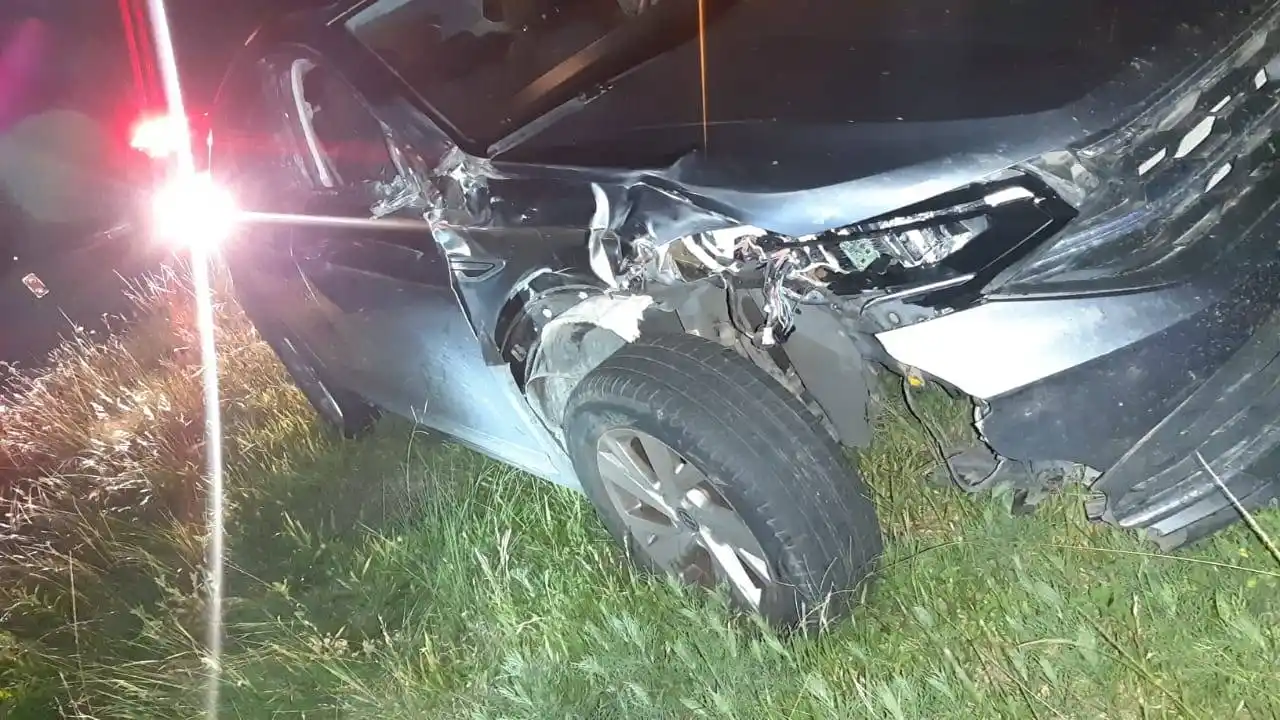 Un auto impactó contra un caballo en la Ruta 12: tres personas resultaron lesionadas