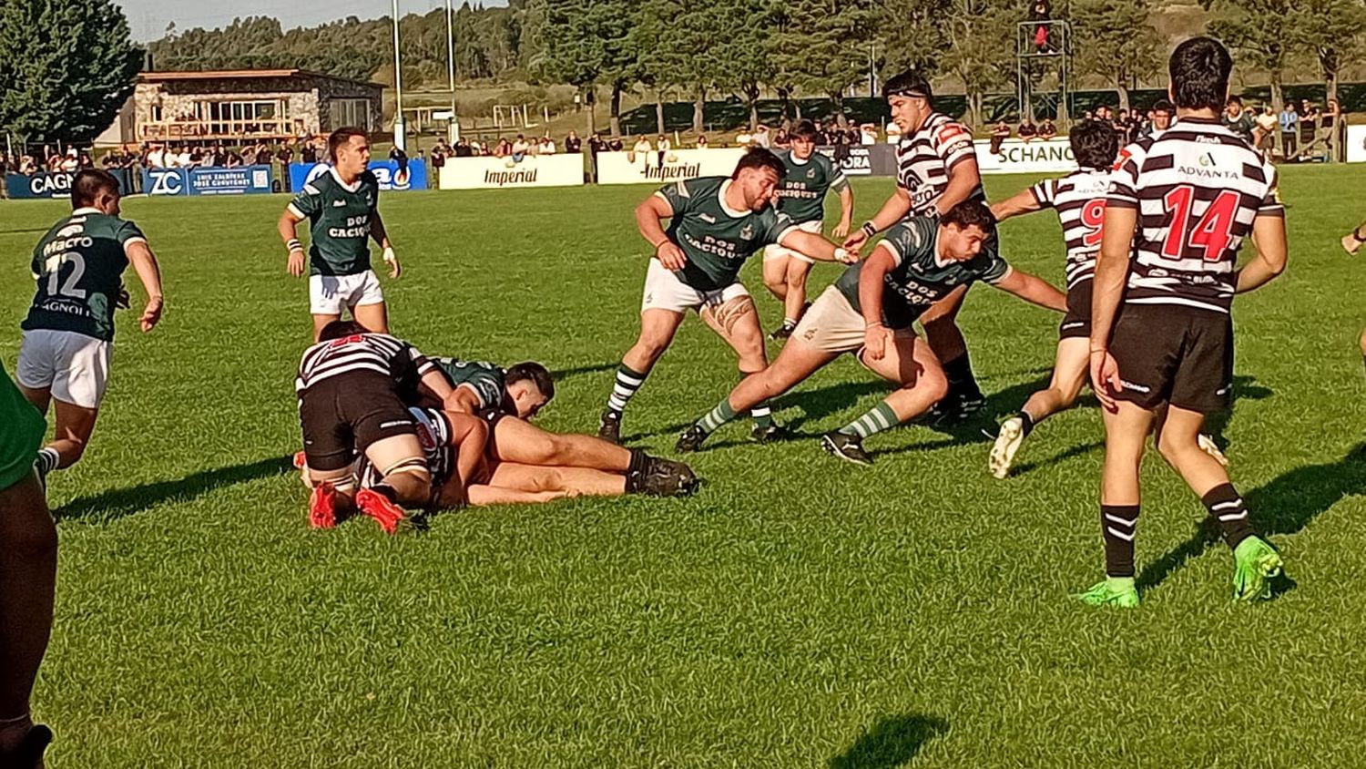 eco rugby - 1