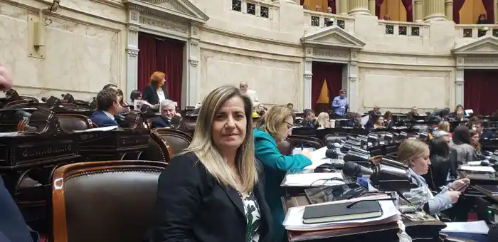 Fin de ciclo para Marcela Ántola y cinco nuevos entrerrianos llegan al Congreso