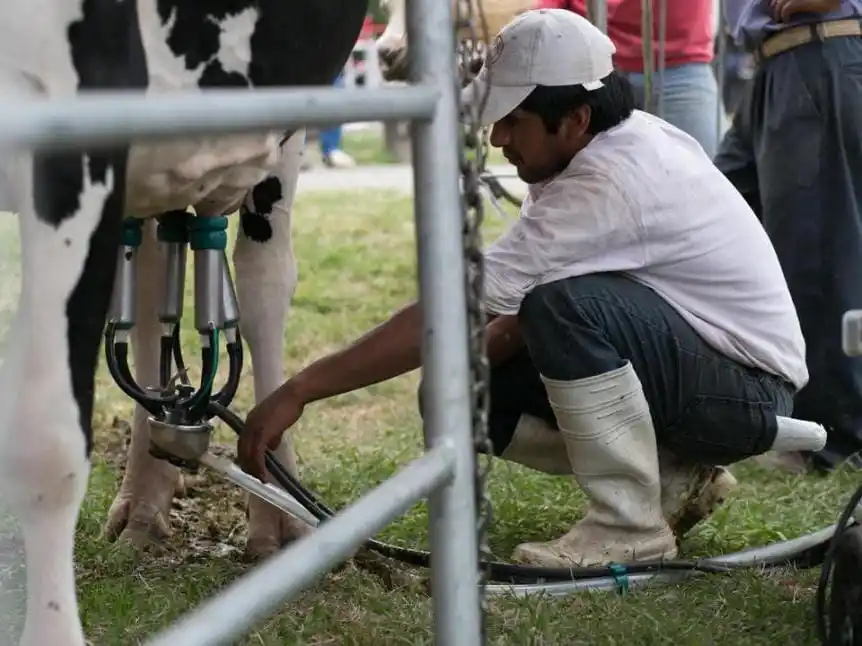 Enrico pide mejor remuneración para el sector tambero