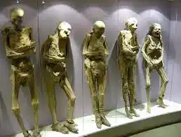 Perturbador lo que pasa dentro del museo de cuerpos humanos en Bogotá